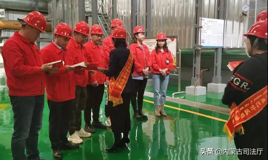 振聋发聩打一准确生肖请全面释义、解释与落实、时代解答解释落实